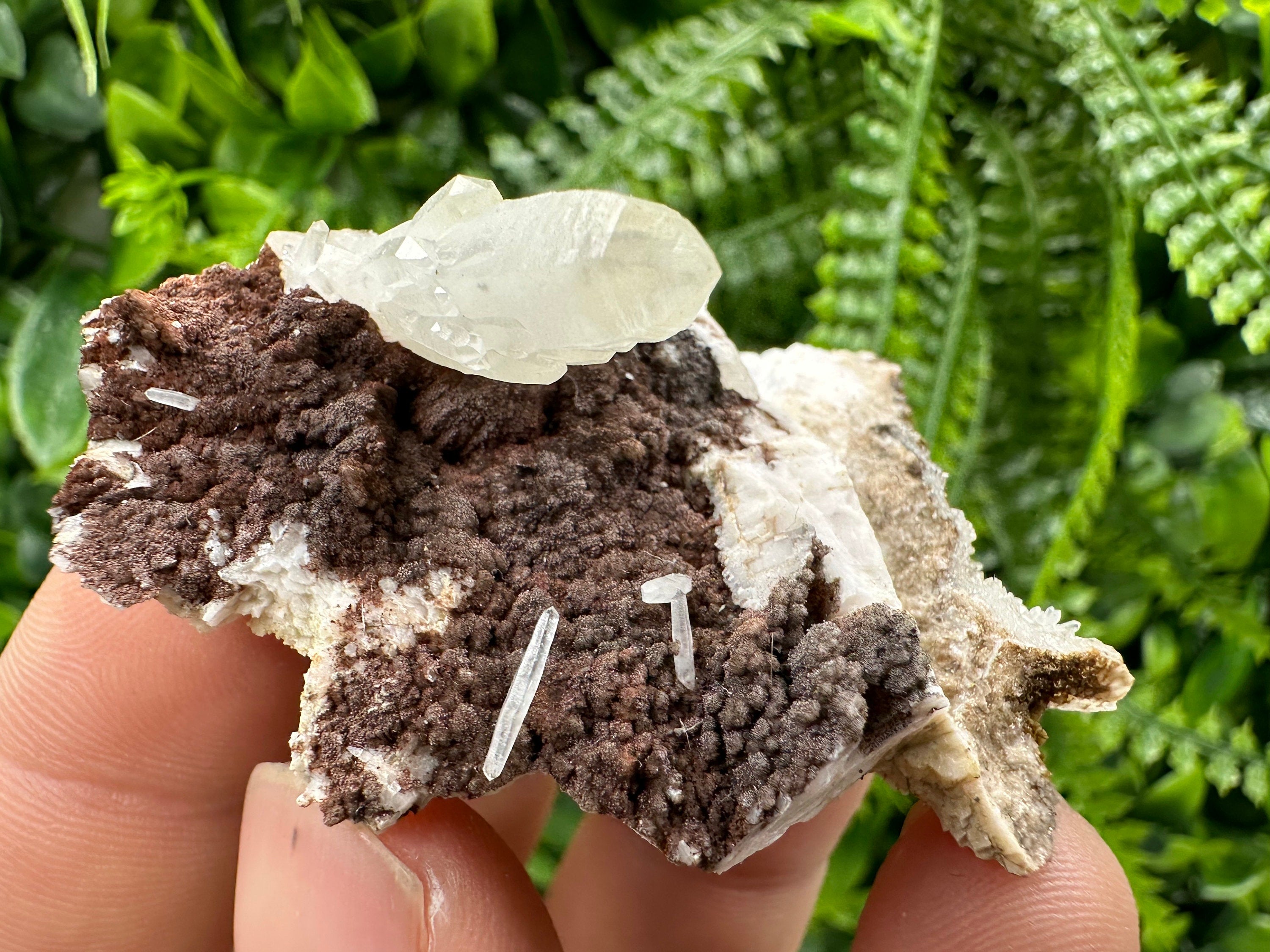 Quartz with Chlorite on Rhodochrosite and Siderite Mineral Specimen