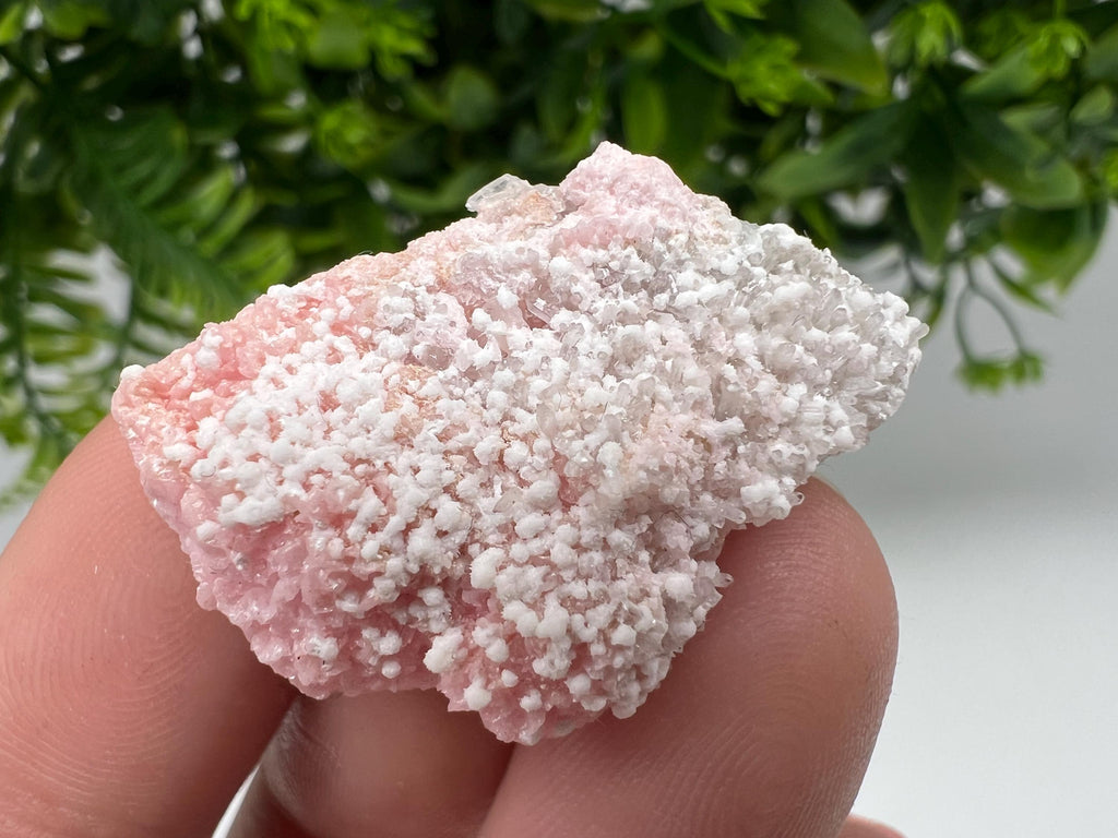 RARE Rhodochrosite whit white Calcite,pink mineral,Starnica Mine,Davidcovo,Bulgaria natural mineral,souvenir crystal,home decor,collectible