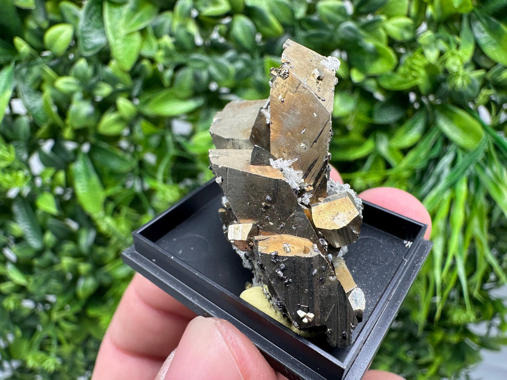 Rare Crystalline Pyrite Cluster - Borieva Mine, Bulgaria
