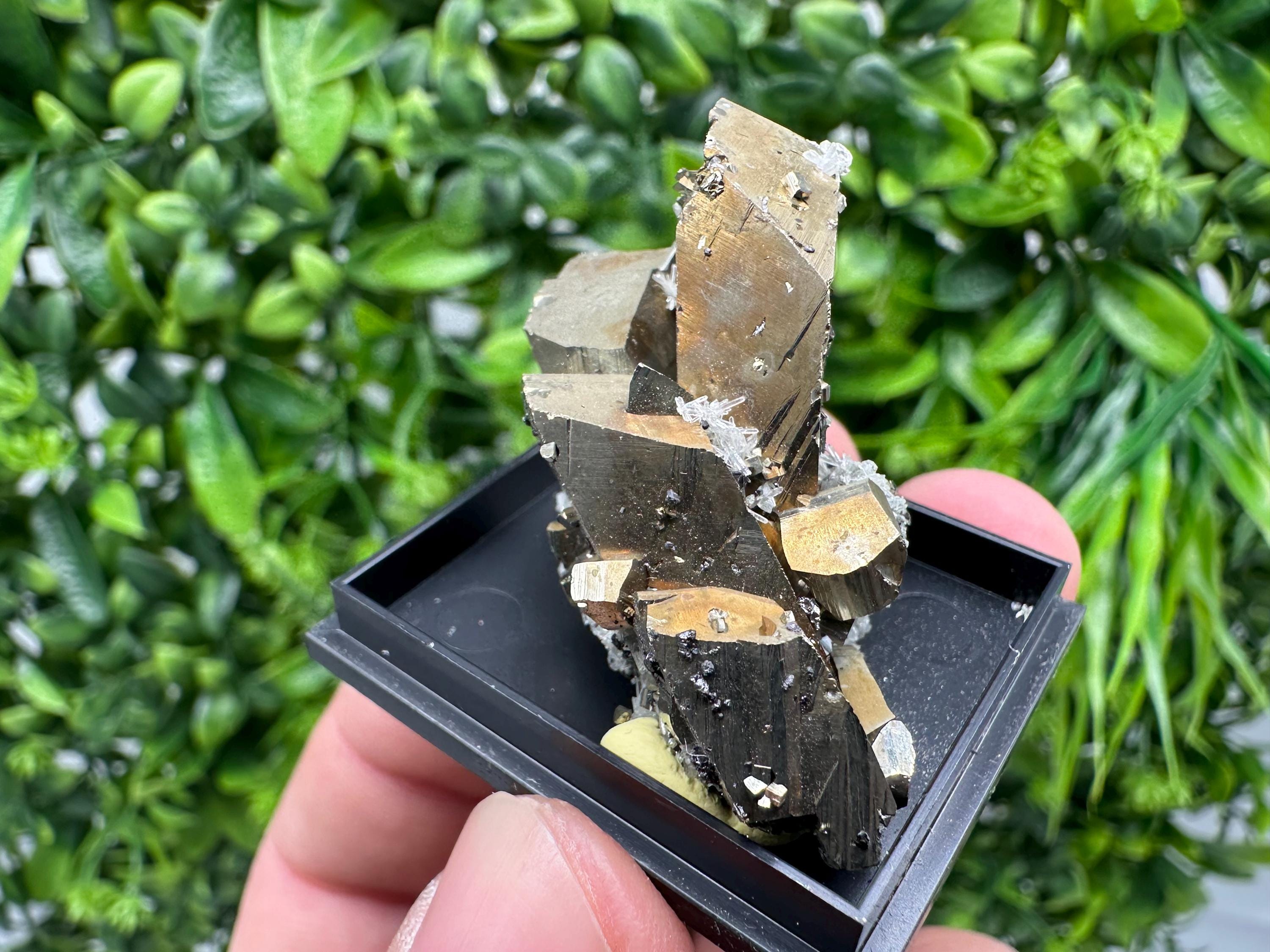 Rare Crystalline Pyrite Cluster - Borieva Mine, Bulgaria