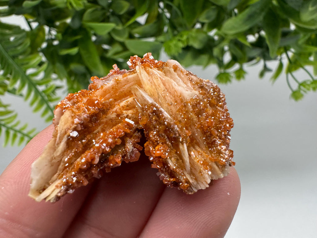 Red Vanadinite on Barite Cluster, Morocco Crystal Specimen