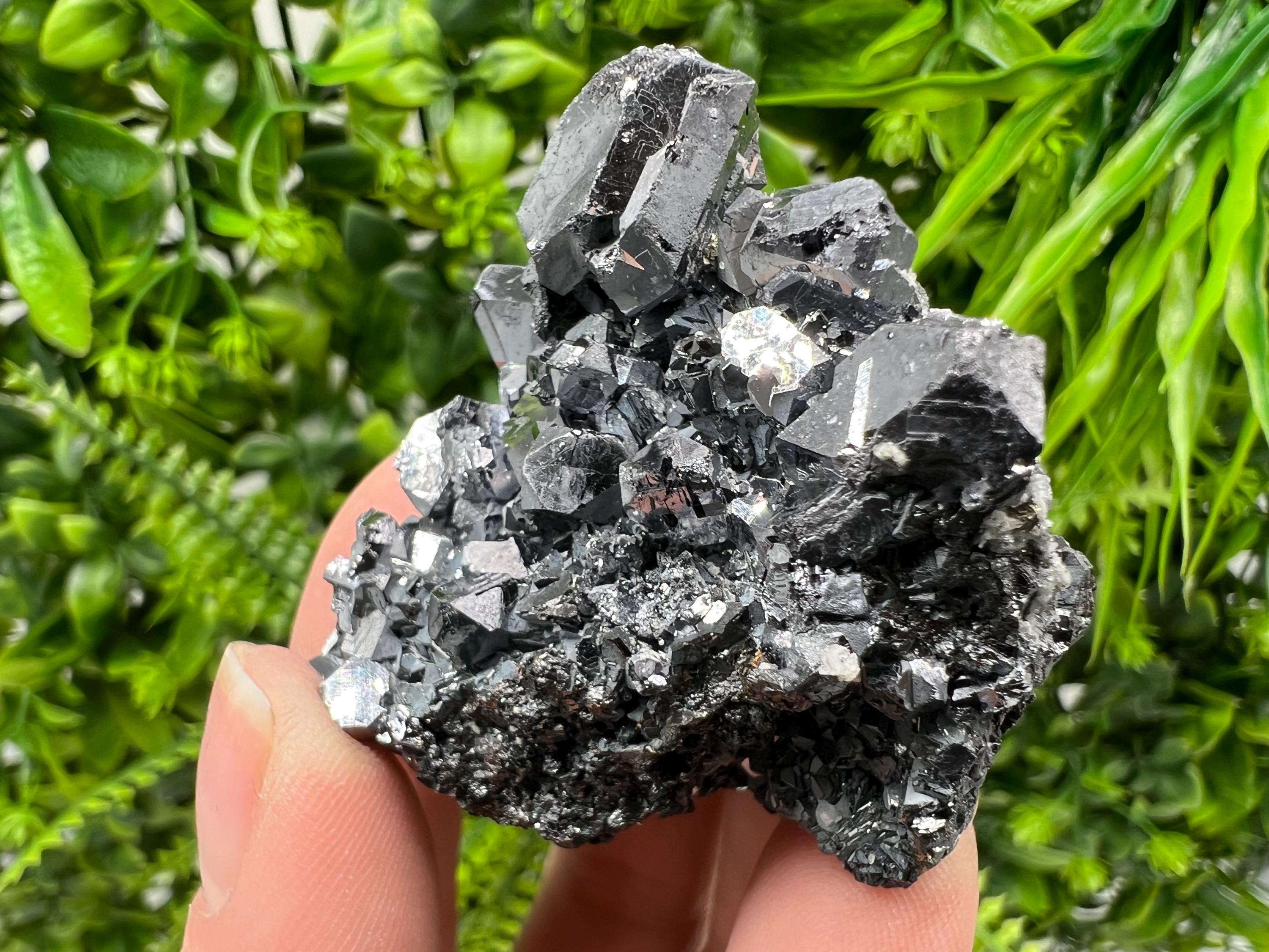 Galena Spinel Law on Sphalerite, Borieva Mine Mineral Specimen