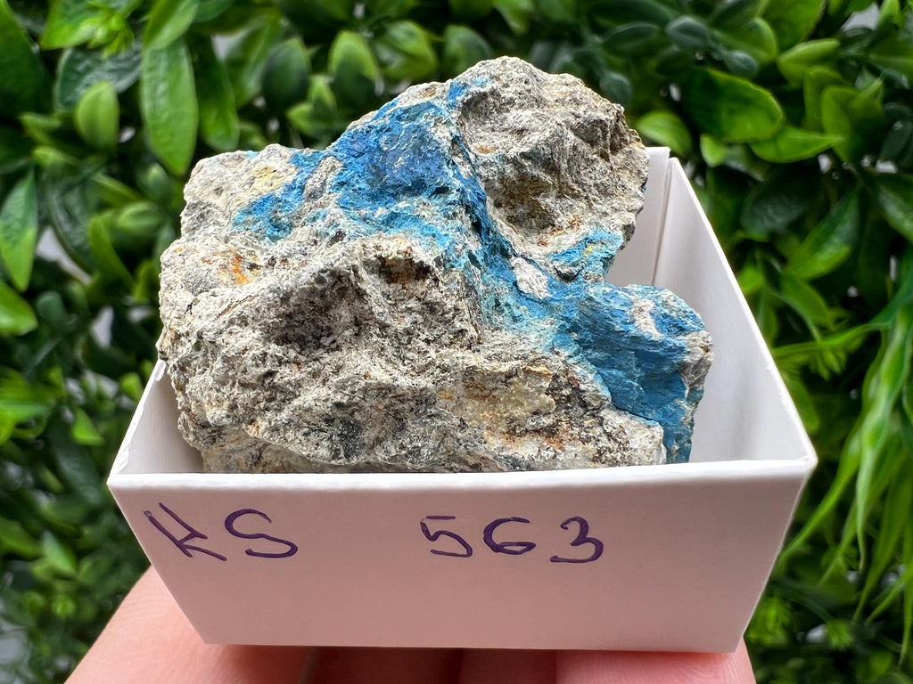 Rare Raw Aerinite Mineral Specimen: Collection Crystal from Lleida, Spain (4/3.5 CM)
