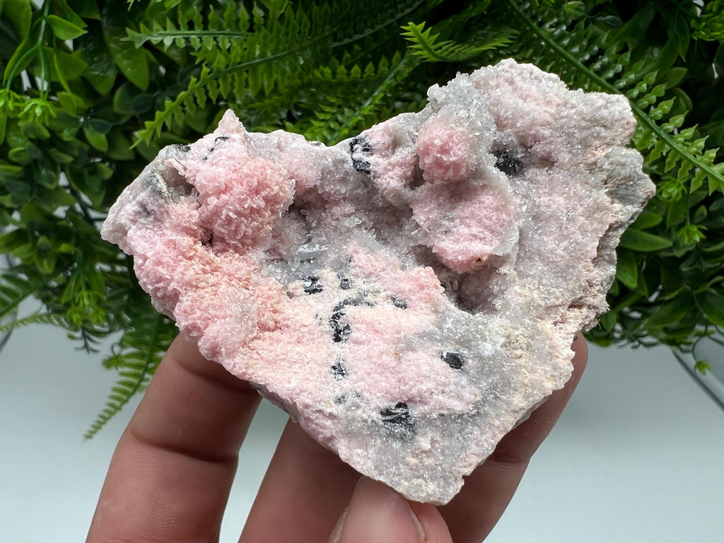 Rare Rhodochrosite with Calcite, Starnica Mine, Bulgaria