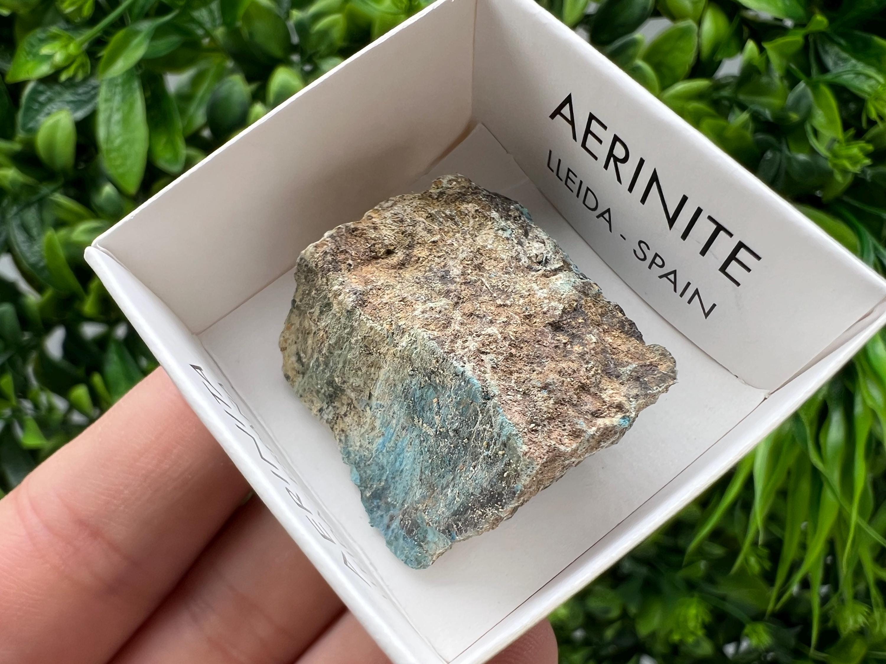 Rare Raw Aerinite Mineral Specimen: Collection Crystal from Lleida, Spain (3/2.5 CM)