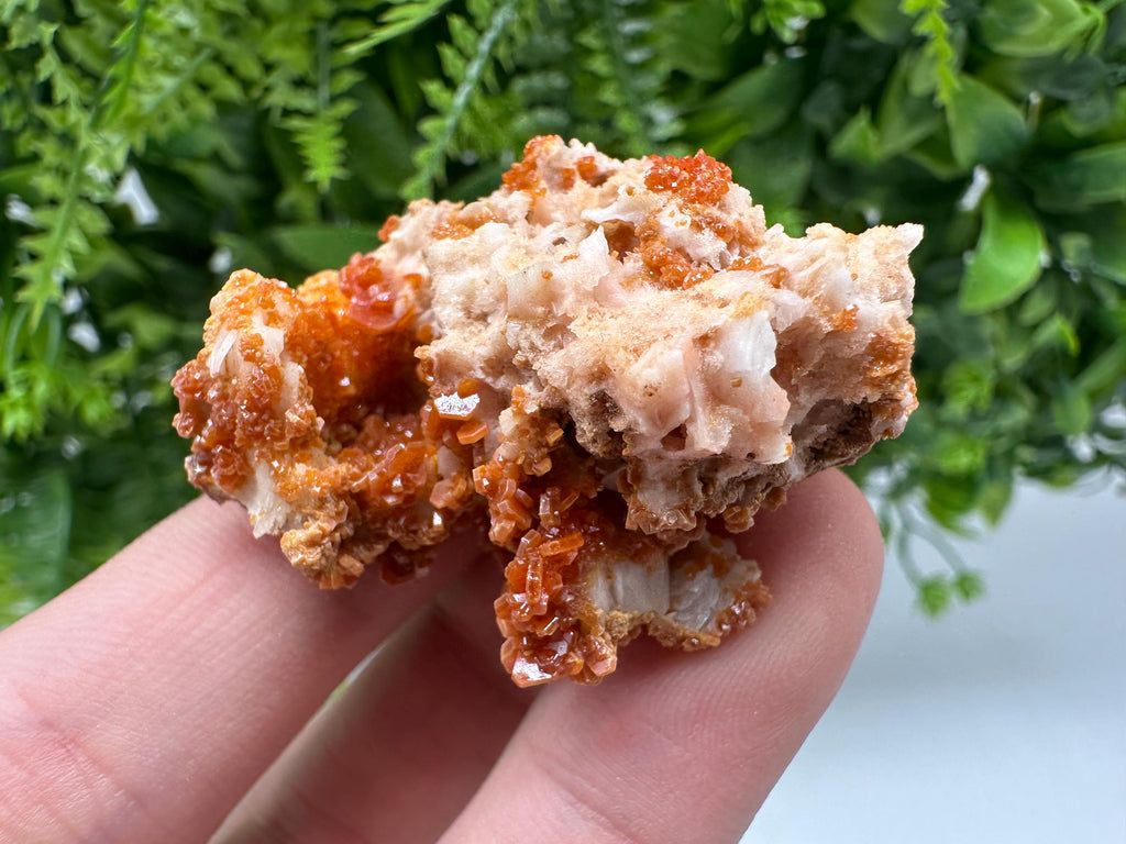 Red Vanadinite on Barite from Marocco,crystal minerals Speciment cluster Vanadinite crystal Vanadinite Geology Vanadinite cluster minerals