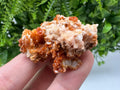 Red Vanadinite on Barite from Marocco,crystal minerals Speciment cluster Vanadinite crystal Vanadinite Geology Vanadinite cluster minerals
