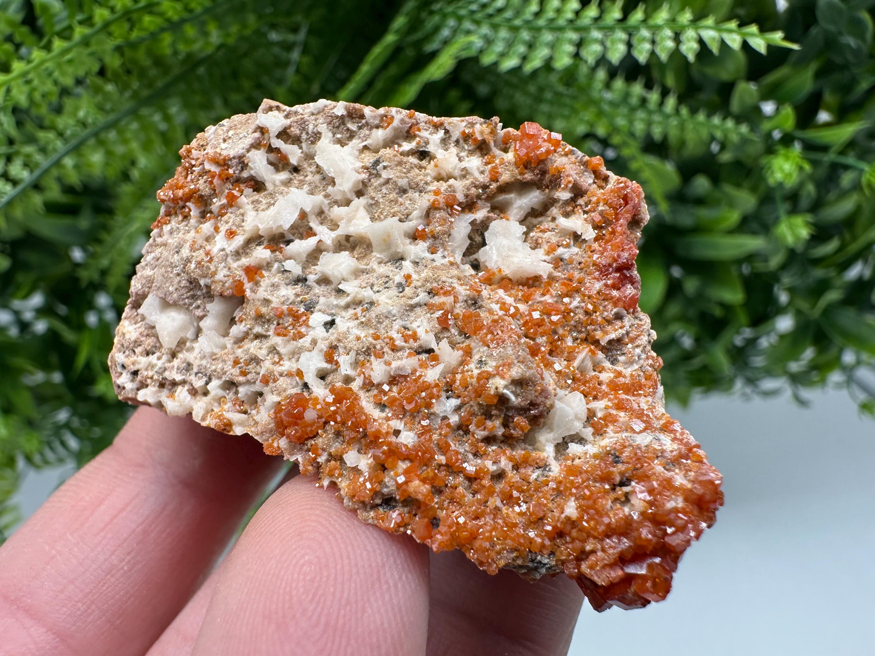 Red Vanadinite on Matrix from Marocco,crystal minerals Speciment cluster Vanadinite crystal Vanadinite Geology Vanadinite cluster minerals