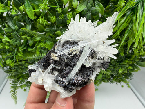 Borieva Sphalerite on Quartz: Rare Mineral Cluster