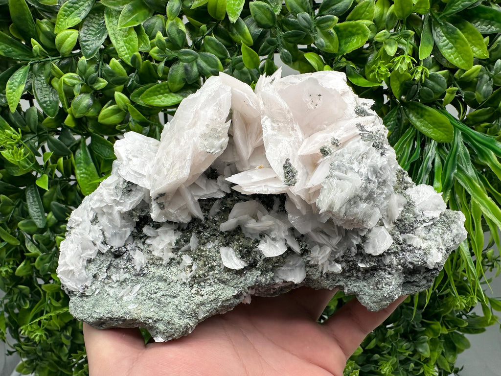 Mangano Calcite Wings on Chlorite Matrix, Bulgaria Mineral Specimen