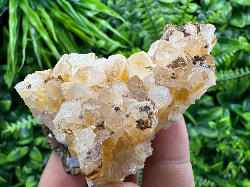Citrine Crystal Cluster with Hematite Inclusions - Brazil