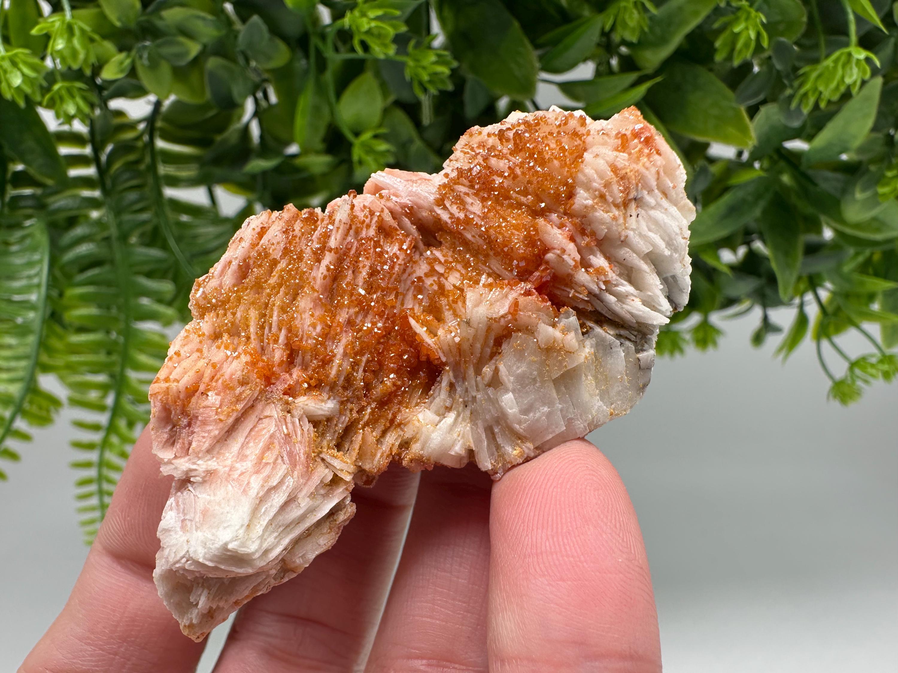 Red Vanadinite on Barite from Marocco,crystal minerals Speciment cluster Vanadinite crystal Vanadinite Geology Vanadinite cluster minerals