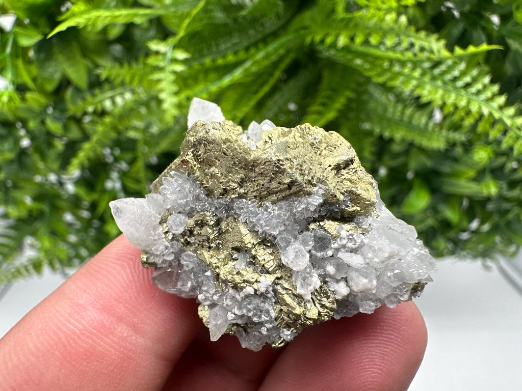 Chalcopyrite on Quartz Specimen, Krushev dol Mine, Bulgaria