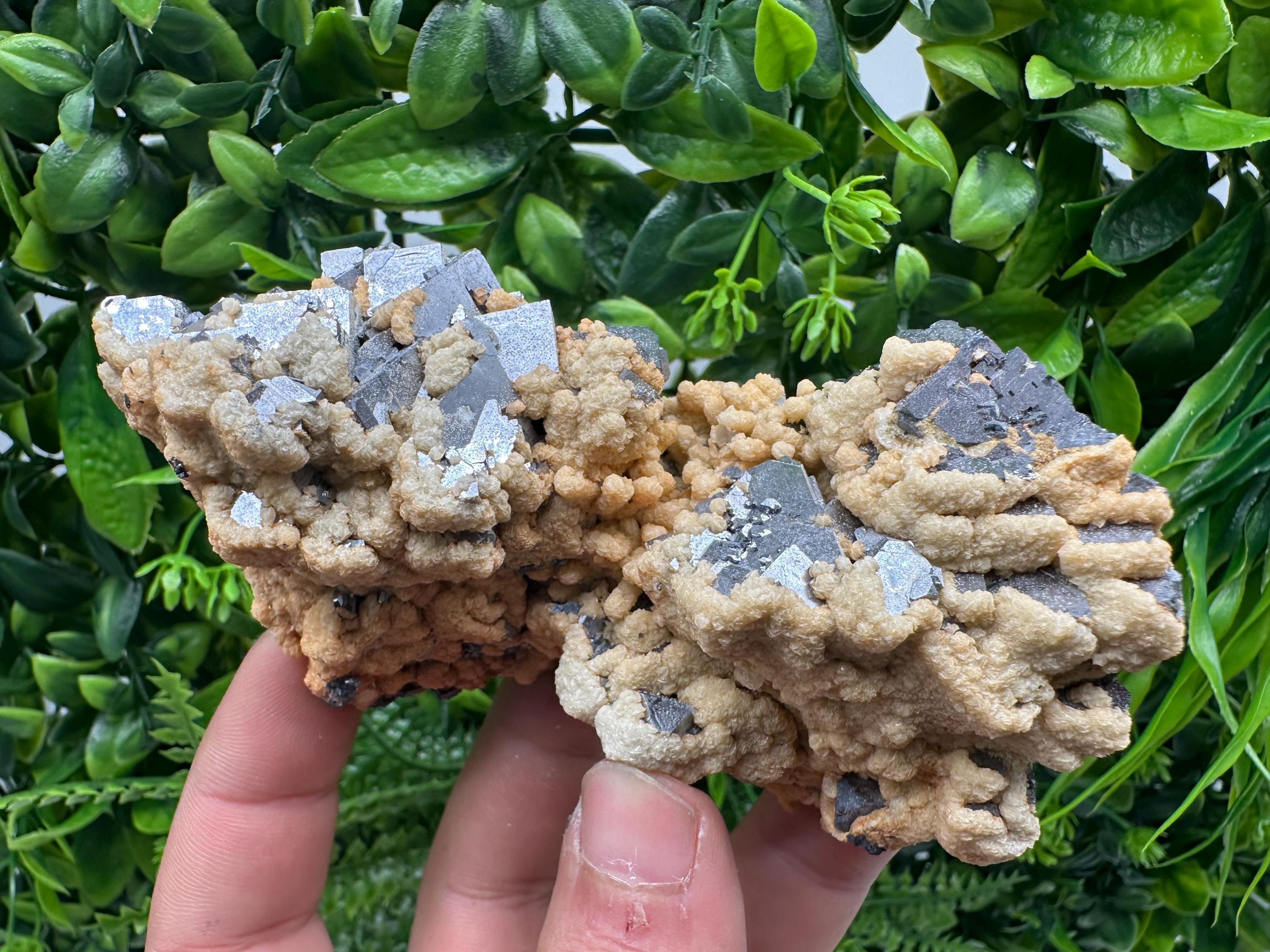 Galena Dolomite Cluster, Krushev dol Bulgaria Mineral Specimen