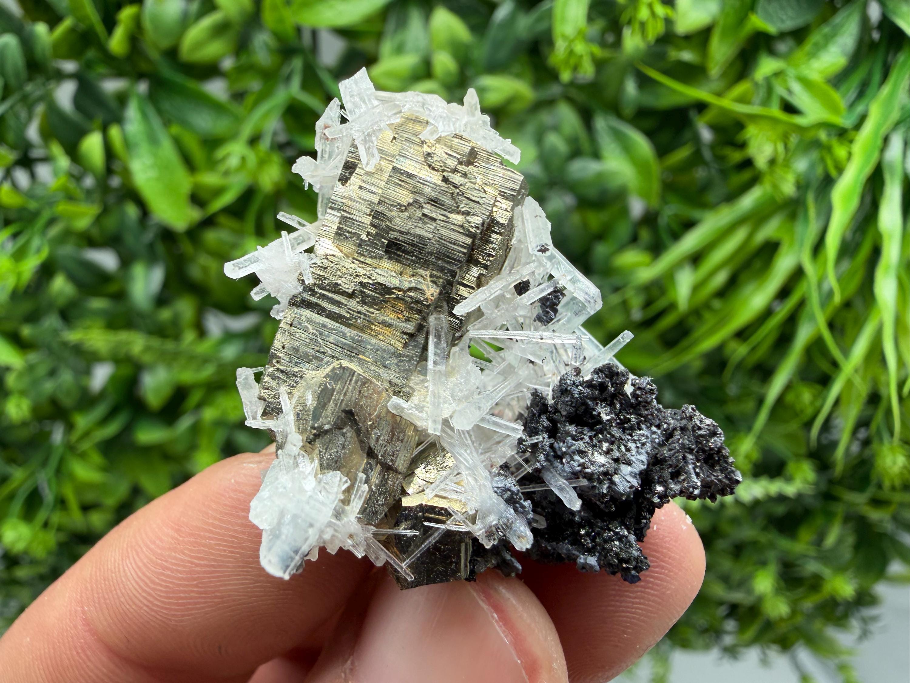 Rainbow Pyrite on Quartz with Oxide, Borieva Bulgaria Mineral Specimen