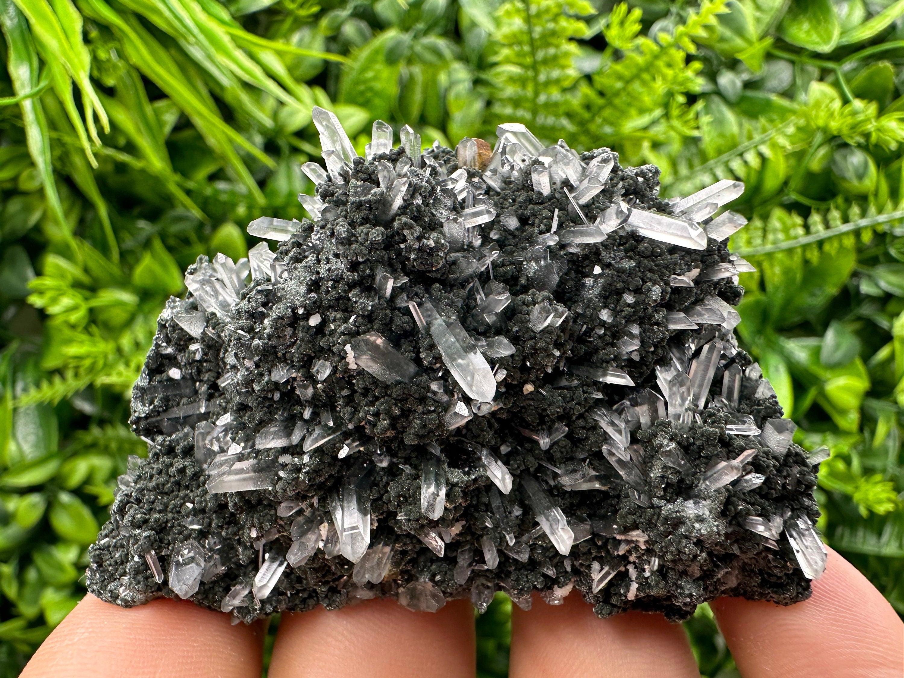 Chlorite Quartz Crystal: Iron Oxide Mineral Specimen, Borieva Bulgaria