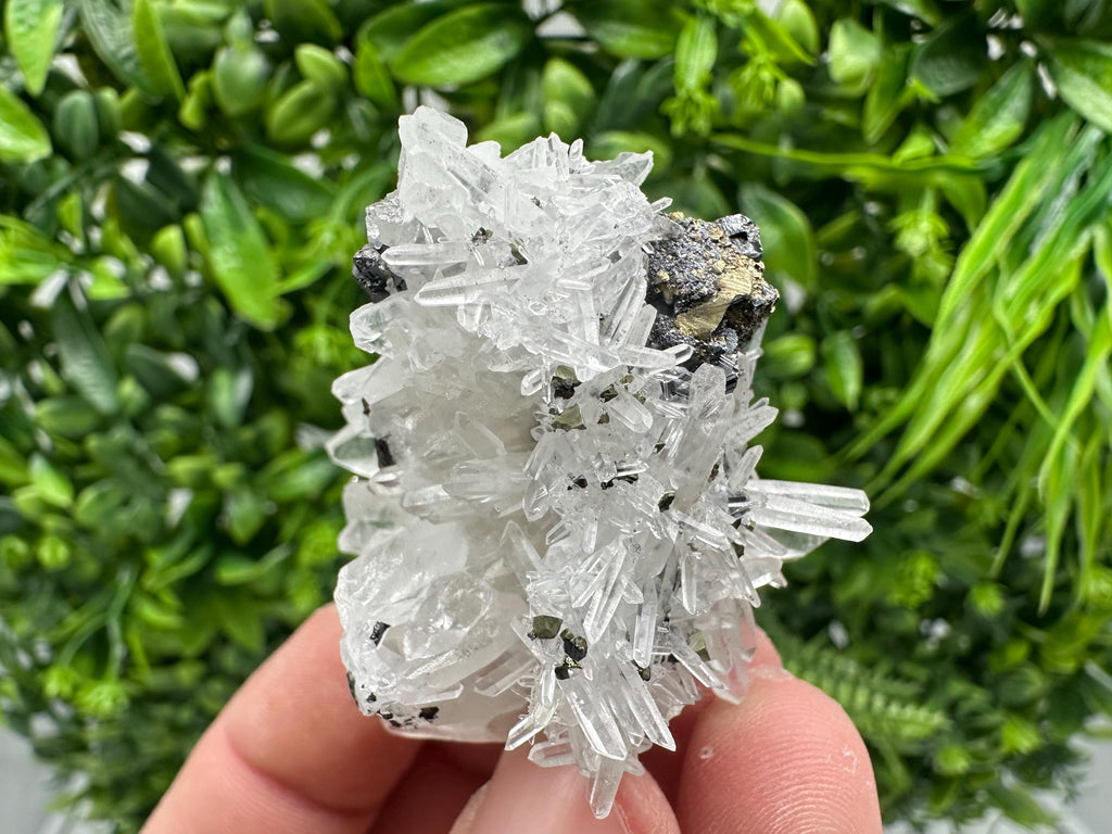 Wonderful Sphalerite Chalcopyrite on  Quartz whit Hematite feom 9 th September mine,Bulgaria,natural,collection mineral specimen,gift