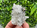 Wonderful Sphalerite Chalcopyrite on  Quartz whit Hematite feom 9 th September mine,Bulgaria,natural,collection mineral specimen,gift