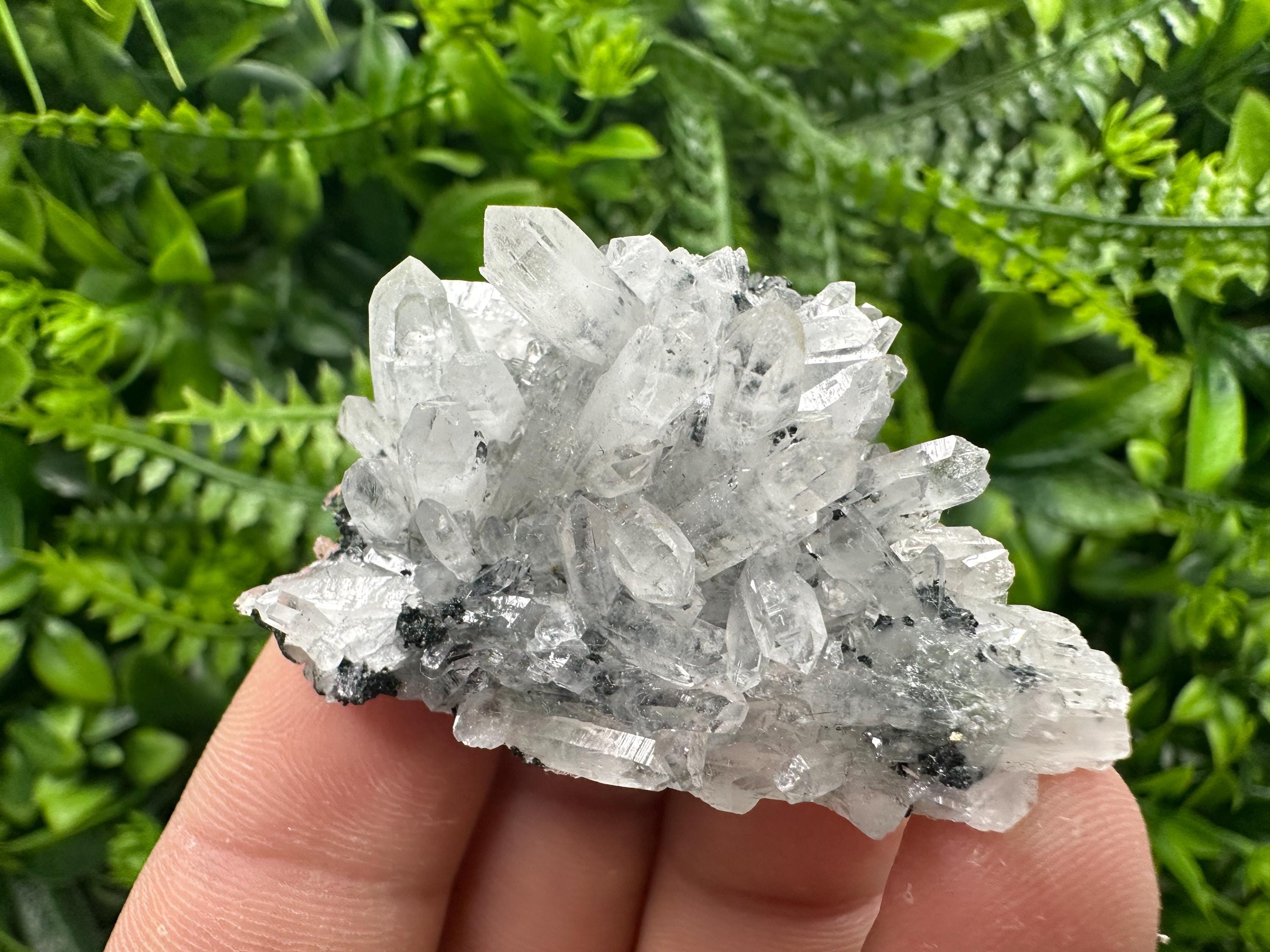 Transparent Quartz Cluster, Borieva Mine, Rare Crystal Specimen