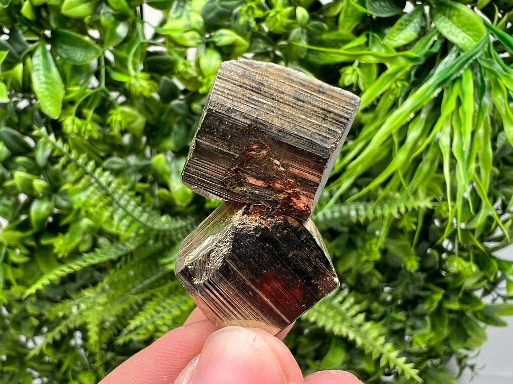 Rare Mini Pyrite Cluster: Borieva Mine, Bulgaria