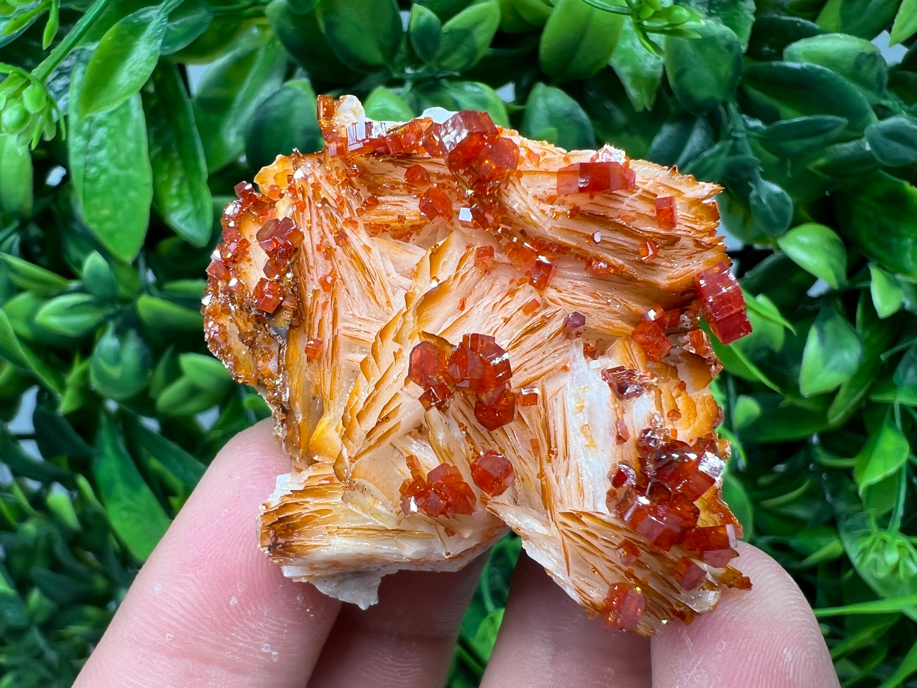 Red Vanadinite on Barite from Marocco,crystal minerals Speciment cluster Vanadinite crystal Vanadinite Geology Vanadinite cluster minerals