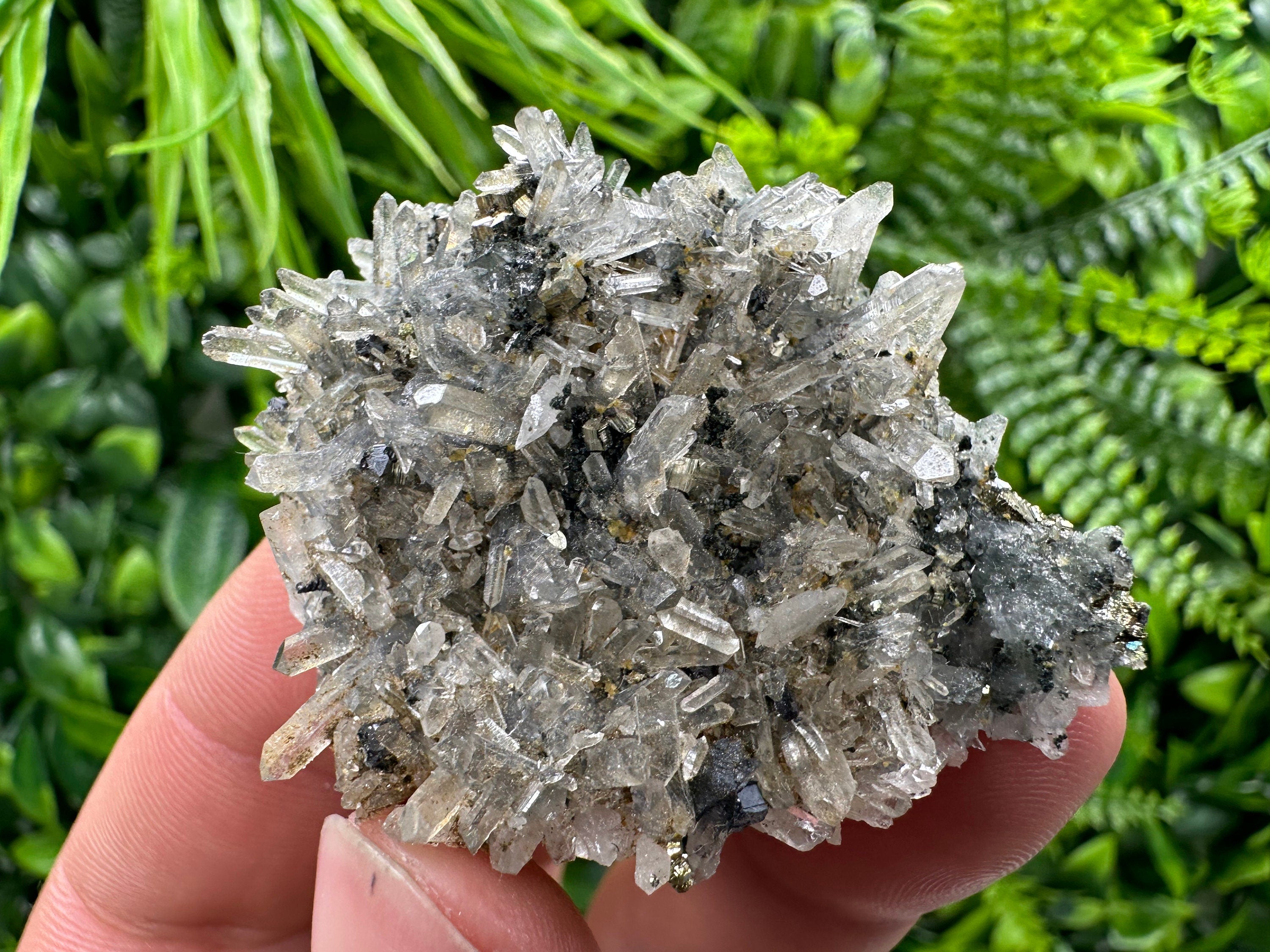 Pyrite Galena on Green Quartz, Chlorite Mineral Specimen, Bulgaria