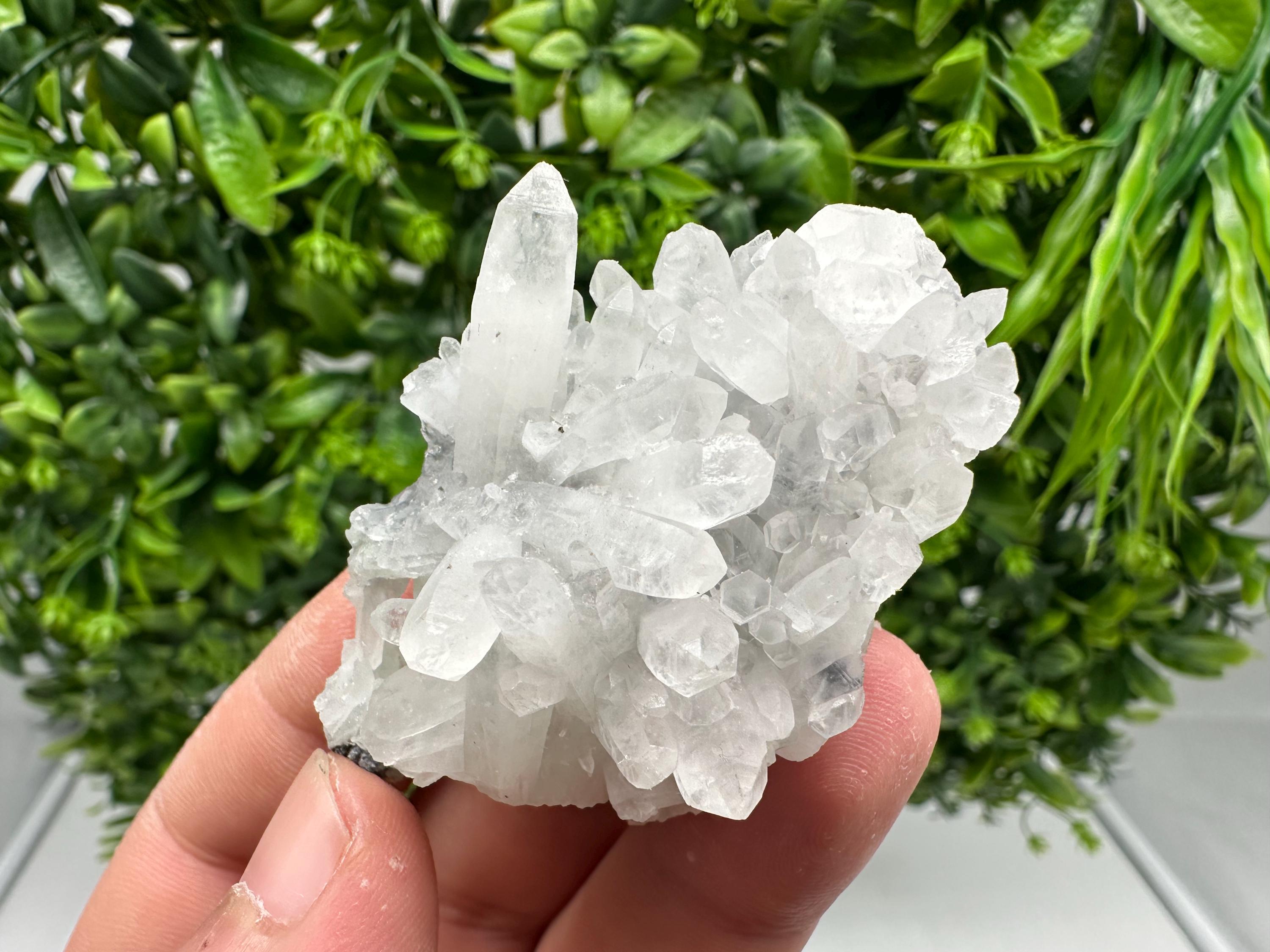 Wonderful Transparent Quartz on Chlorite Matrix,From Borieva mine,Madan,Bulgaria,Quartz,Quartz crystal,mineral specimen,collection quartz