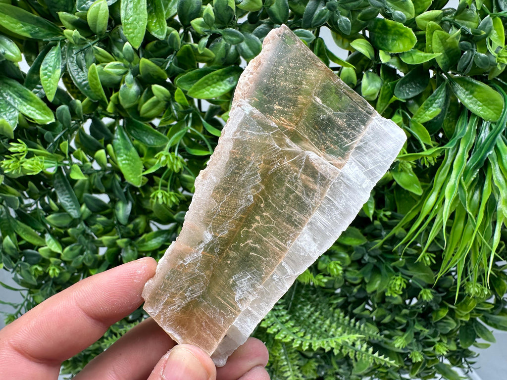 Golden Phantom Selenite Slab: Utah Raw Crystal Wand (2.2/6cm