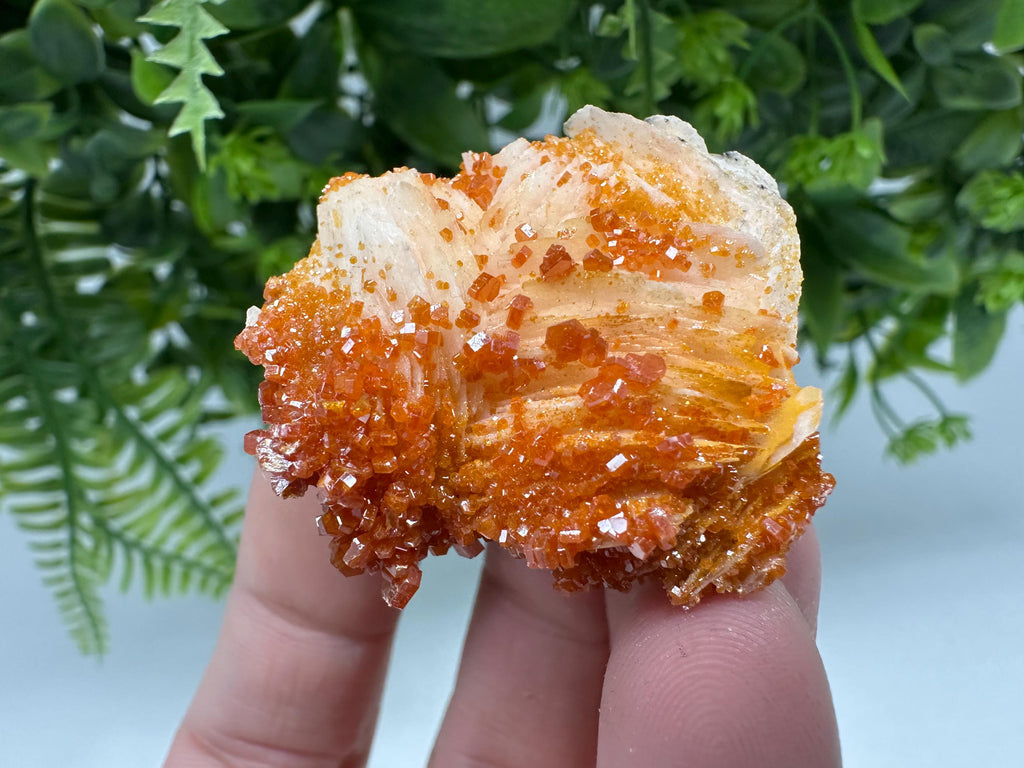 Red Vanadinite on Barite Cluster, Moroccan Mineral Specimen (4/4/2 cm)