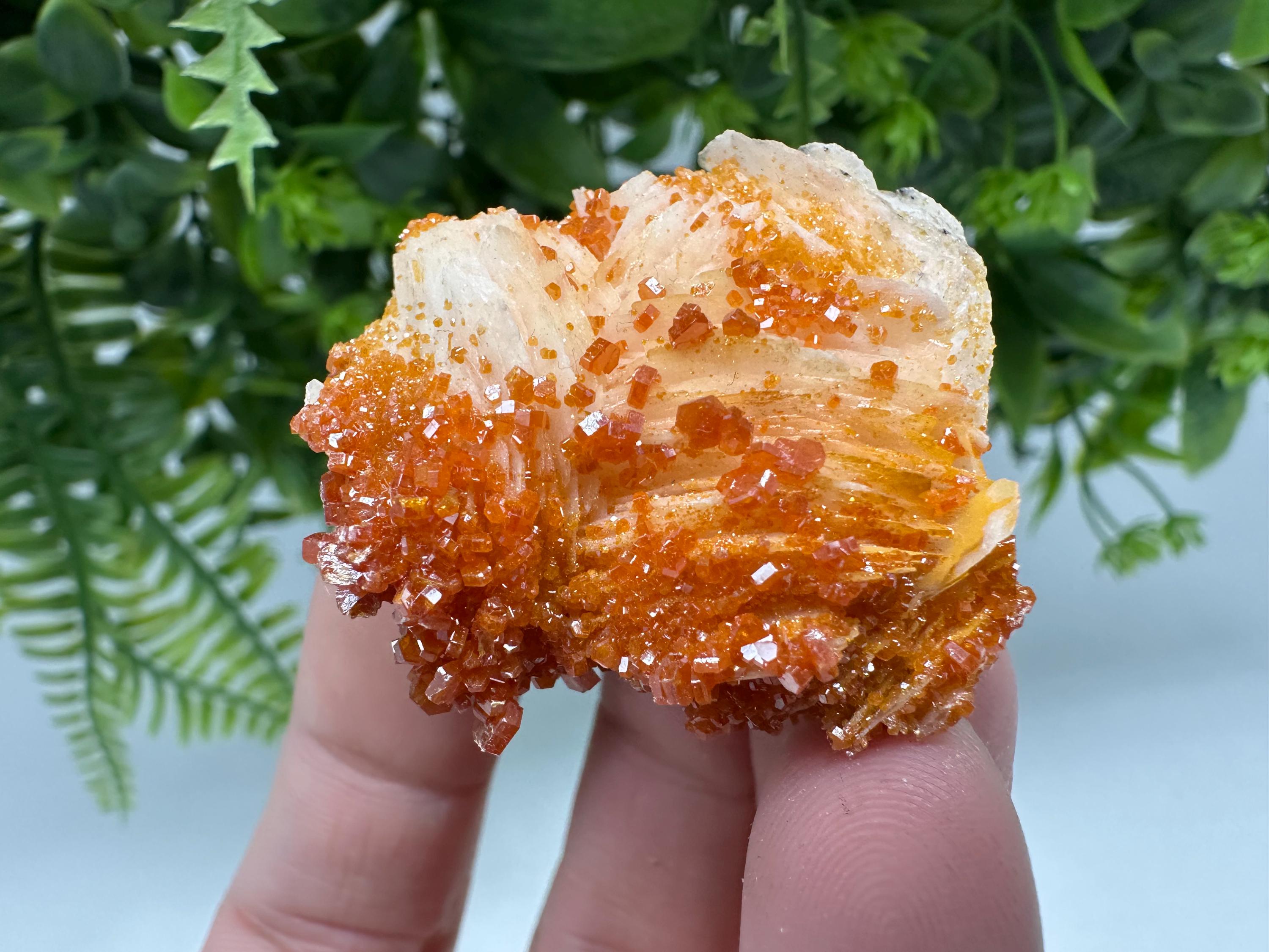 Red Vanadinite on Barite Cluster, Moroccan Mineral Specimen (4/4/2 cm)
