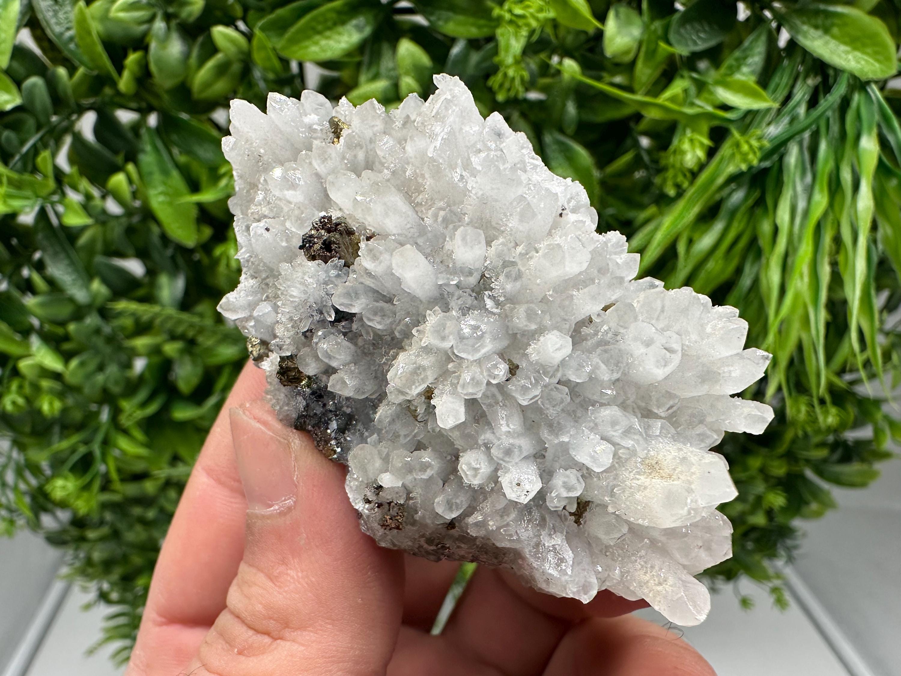 Chalcopyrite on Quartz Crystal: Borieva Mine, Bulgaria
