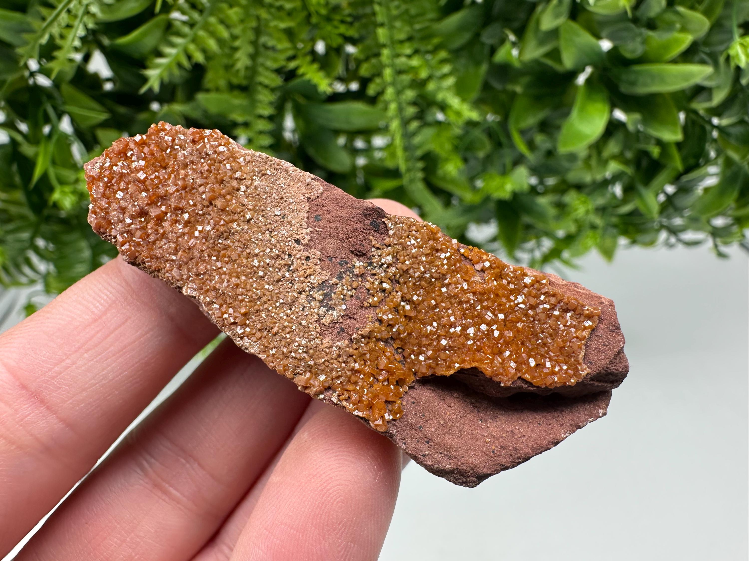 Red Vanadinite on Matrix from Marocco,crystal minerals Speciment cluster Vanadinite crystal Vanadinite Geology Vanadinite cluster minerals