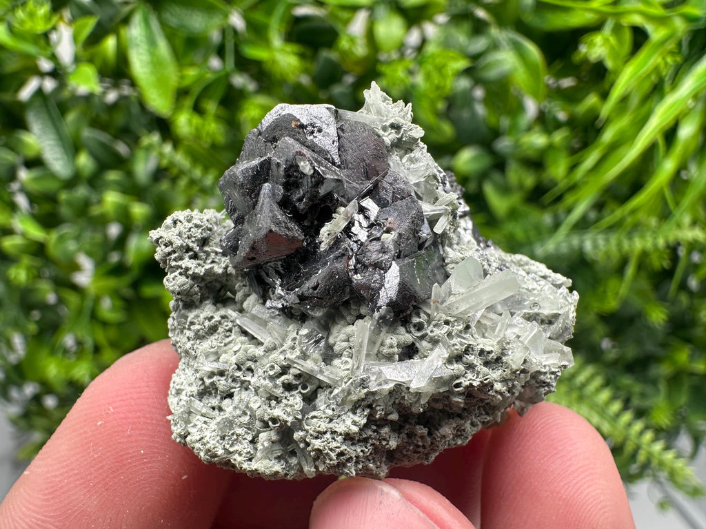Sphalerite with Chlorite Mineral Specimen - Borieva Mine, Bulgaria