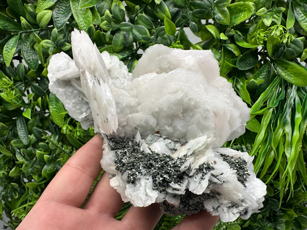 Mangano Calcite Wings on Chlorite Matrix, Bulgaria Mineral Specimen