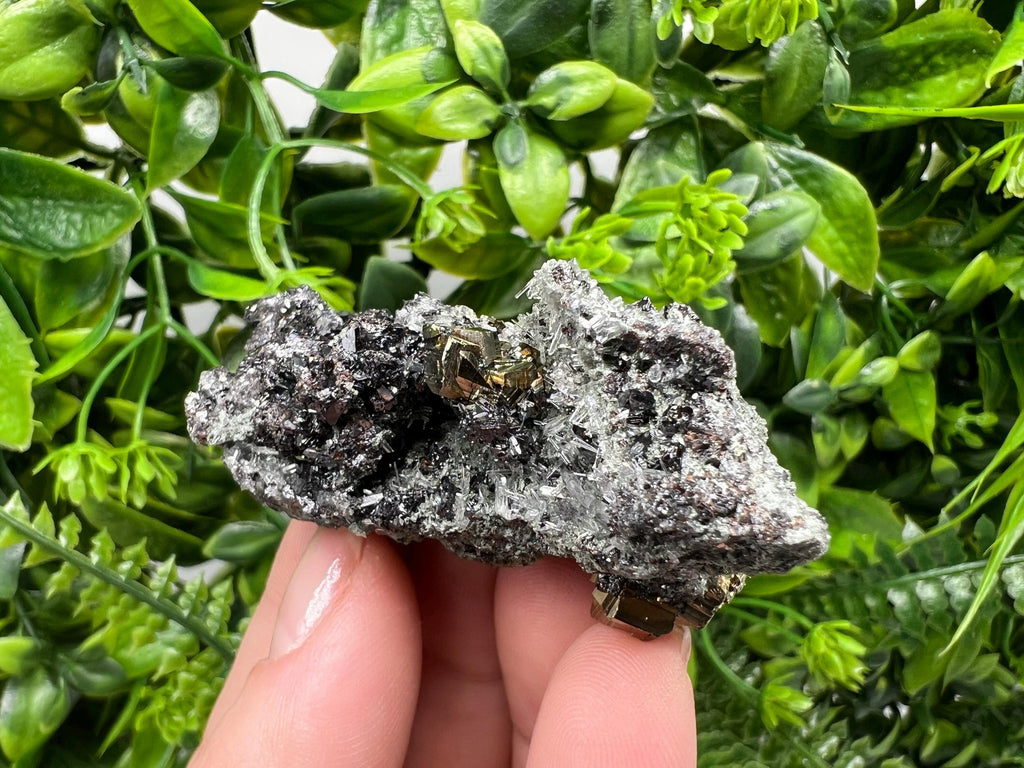 Pyrite on Green Quartz, Bulgaria Mineral Specimen, Home Decor Stone