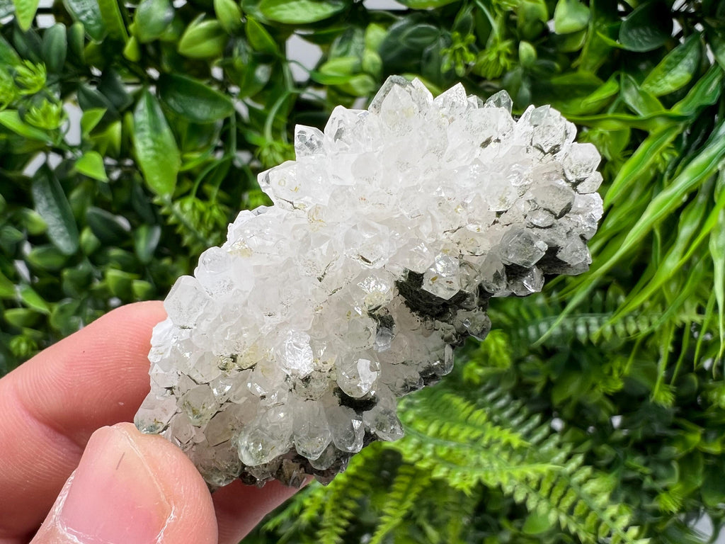 Transparent Quartz on Chlorite Matrix, Borieva Mine Mineral Specimen