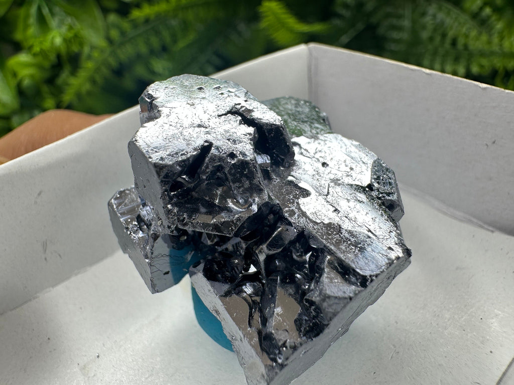 Shiny Galena Cluster: Borieva Mine, Madan, Bulgaria