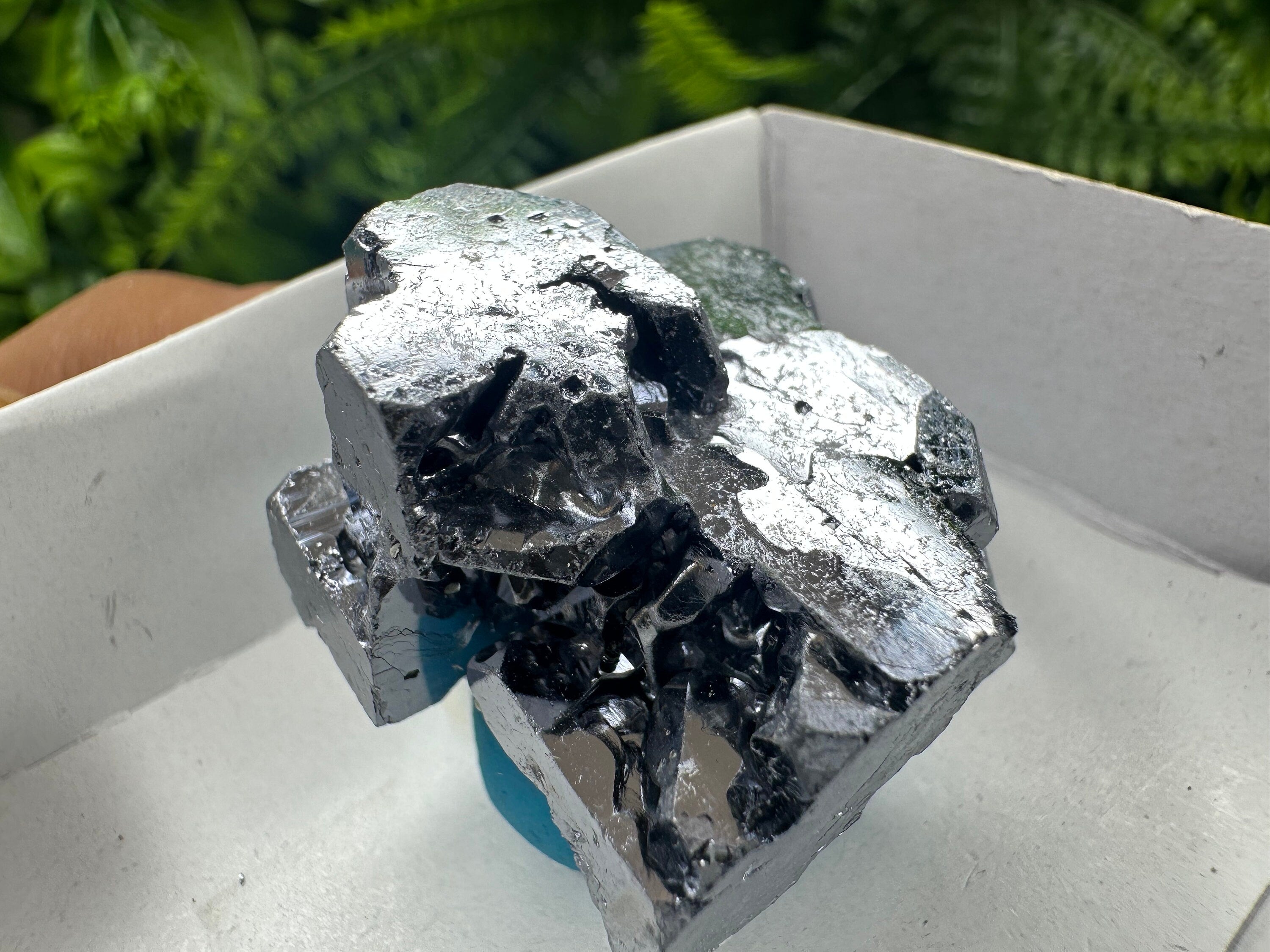 Shiny Galena Cluster: Borieva Mine, Madan, Bulgaria