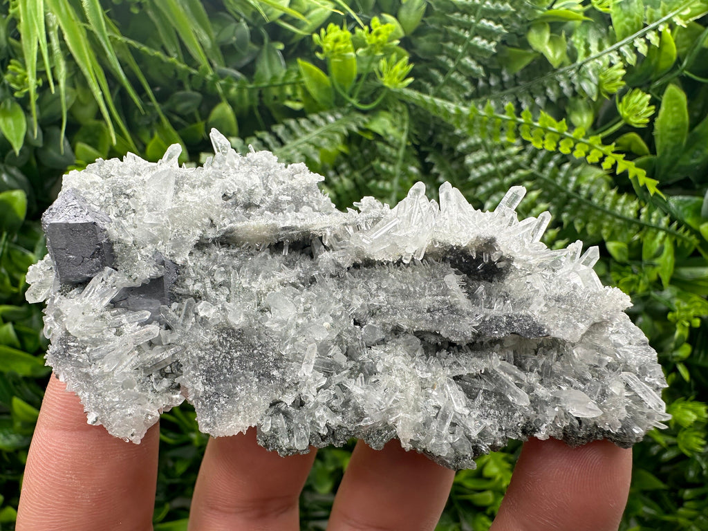 Galena on Green Quartz, Borieva Mine, Mineral Specimen