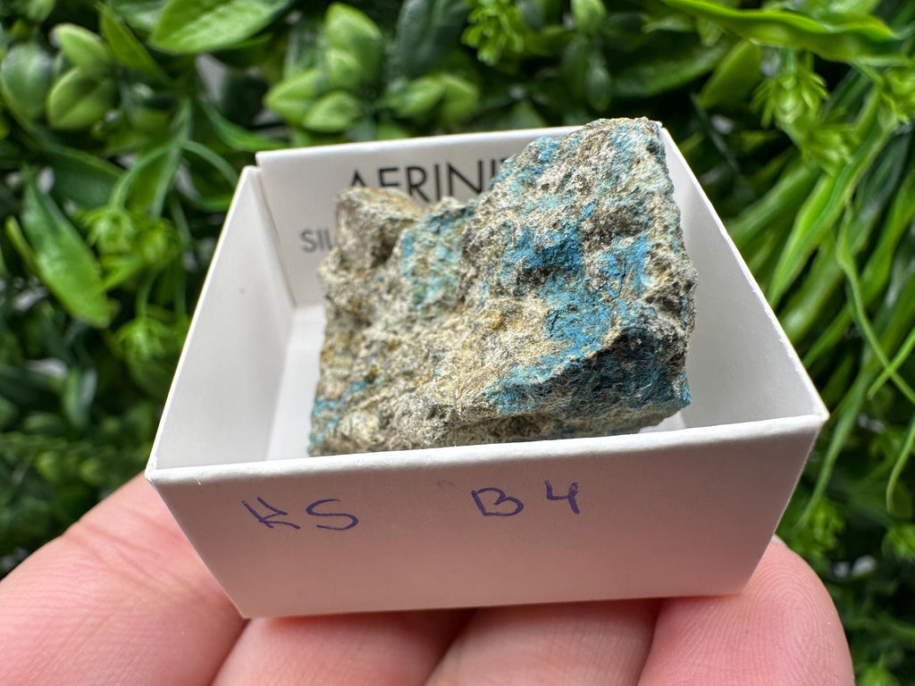 Rare Raw Aerinite Mineral Specimen: Lleida, Spain Crystal