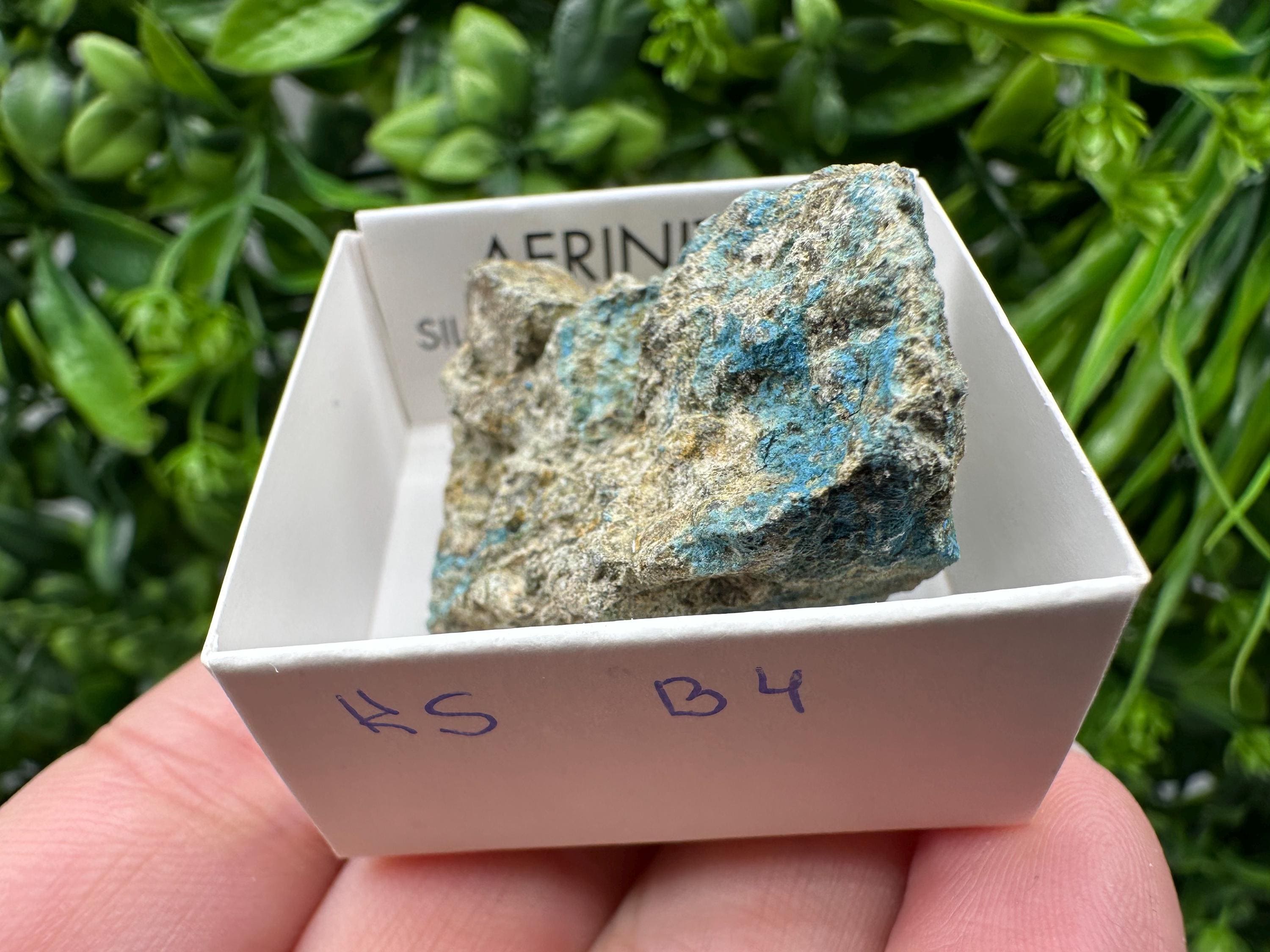 Rare Raw Aerinite Mineral Specimen: Lleida, Spain Crystal
