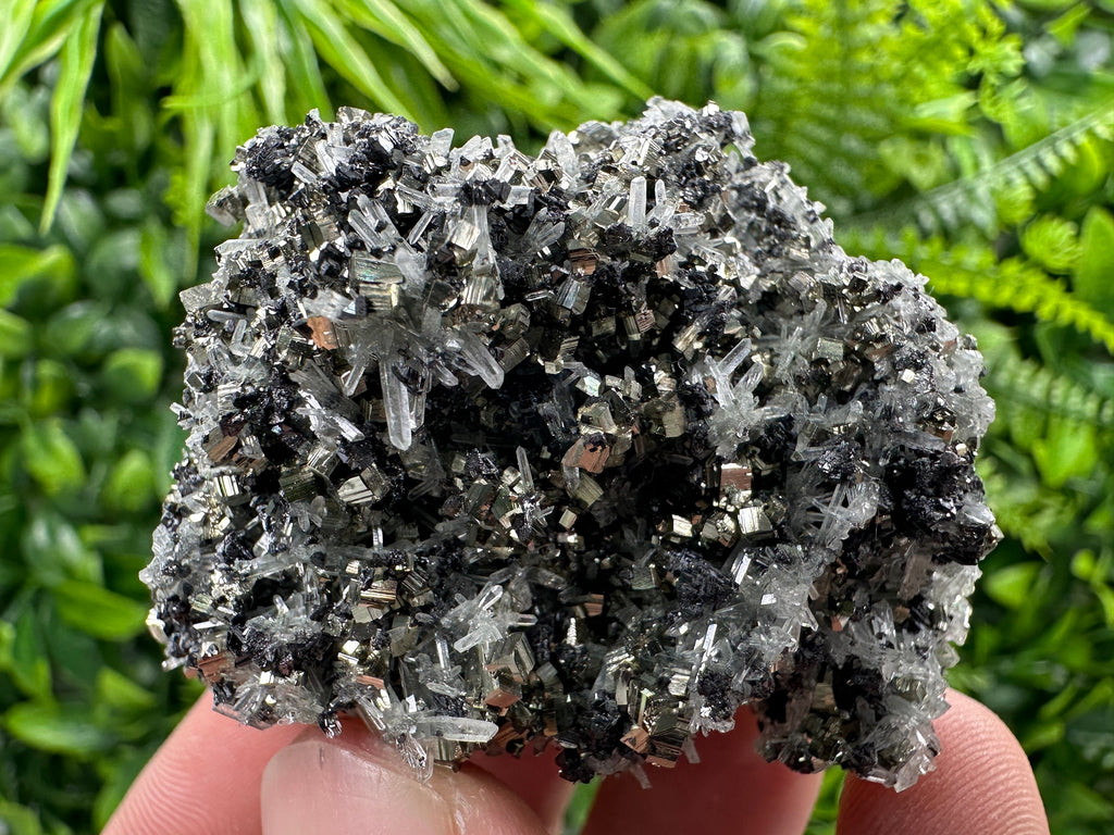 Pyrite on Quartz Needles, Borieva Mine Bulgaria, Mineral Specimen