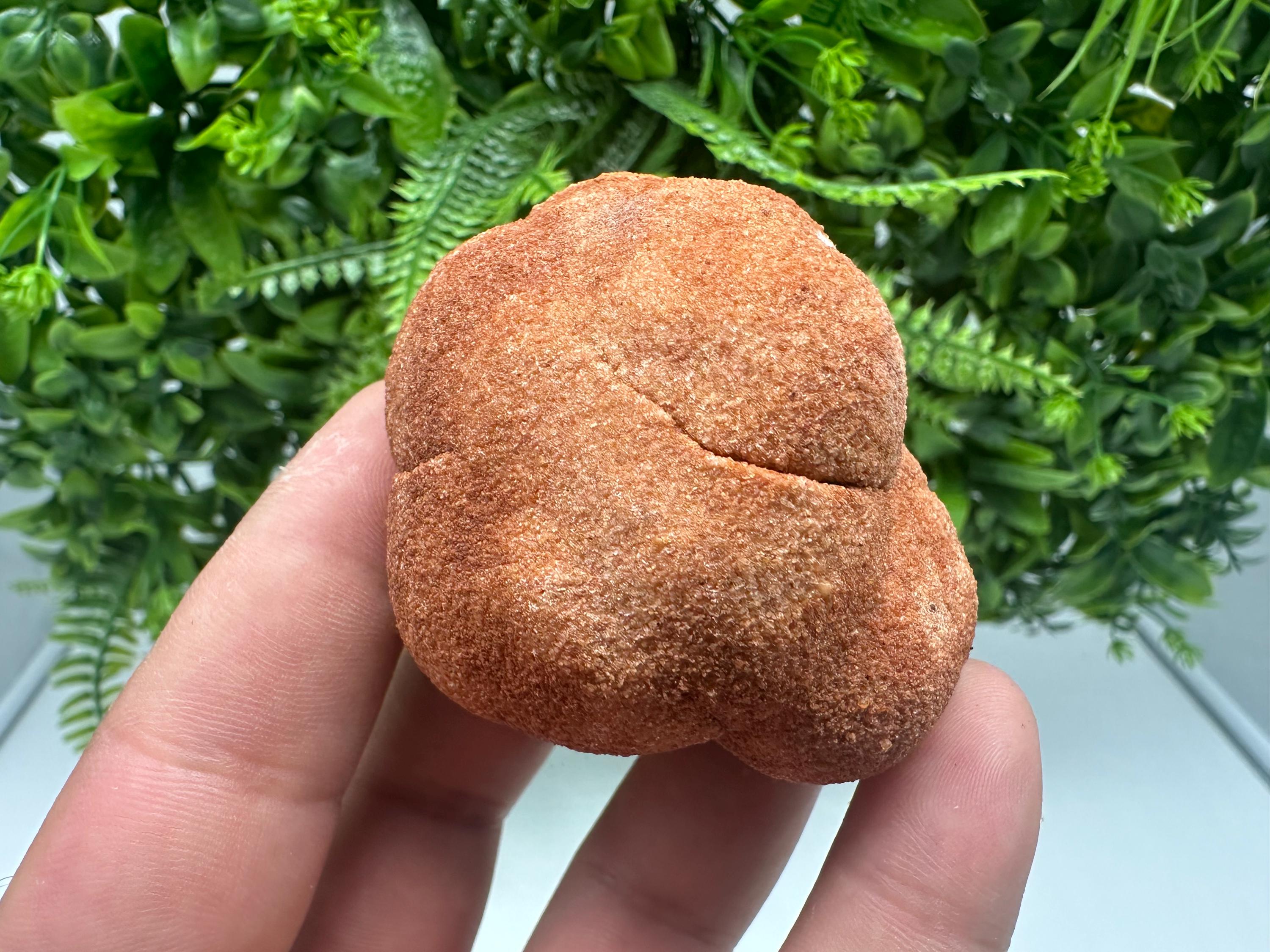 Moroccan Stromatolite Fossil Specimen: Raw Algae Stone for Grounding