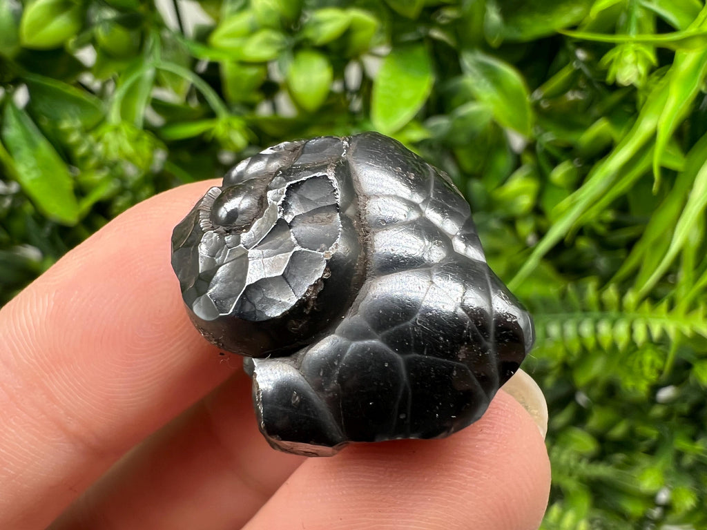 Botryoidal Black Hematite Specimen: Moroccan Crystal, Chakra Reiki
