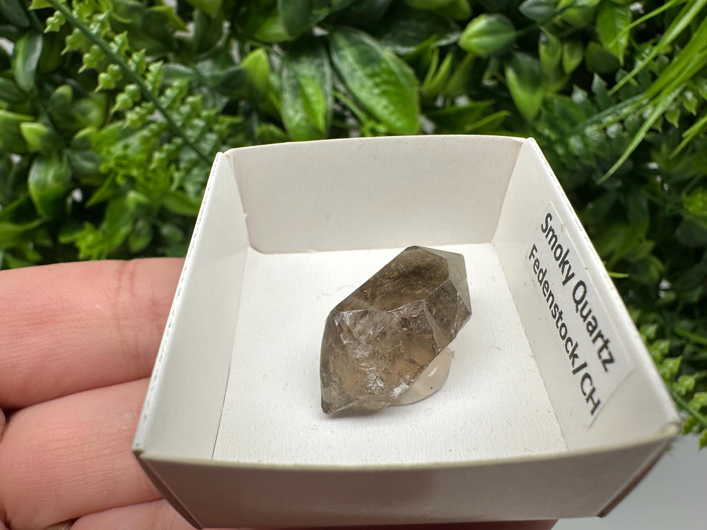 Rare Fedenstock Smoky Quartz Point, Swiss Mineral Specimen (30MM)