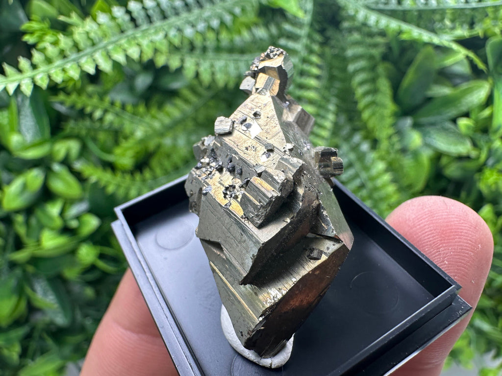Shiny Pyrite Crystal Cluster, Borieva Mine, Bulgaria