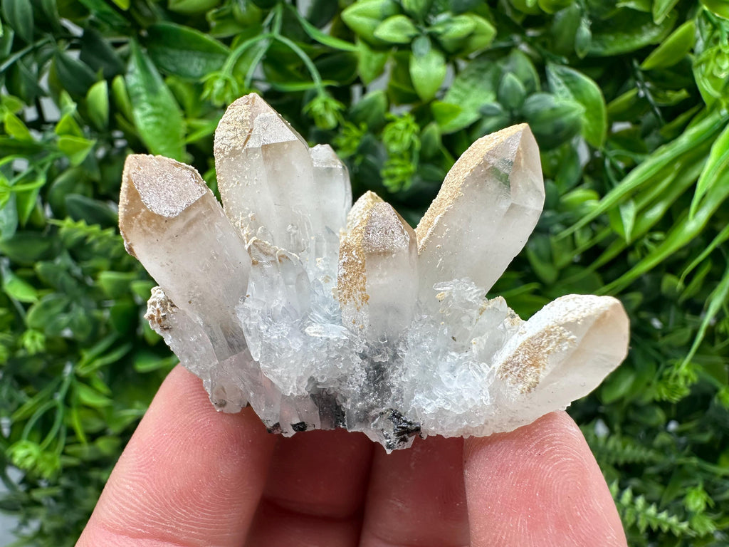 Quartz Sphalerite Chalcopyrite Mineral Specimen, Madan Bulgaria