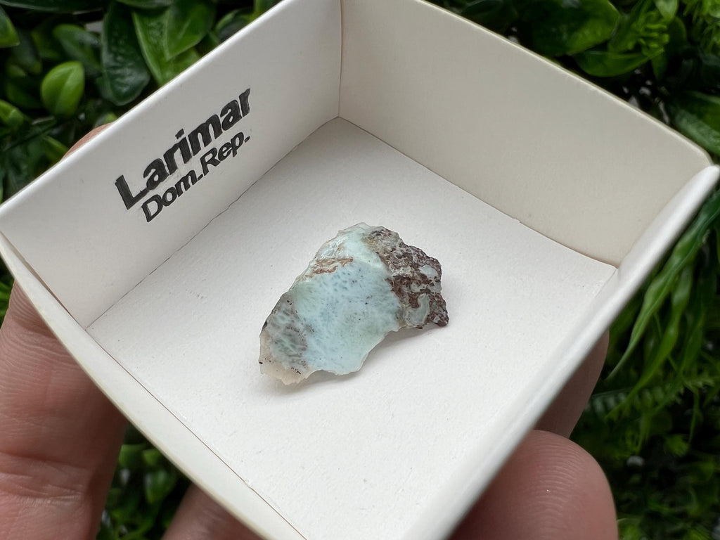 Rare Raw Larimar Specimen: Dominican Republic Crystal (25/15mm)