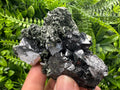 Galena with Black Sphalerite: Natural Minerals Souvenir, Borieva Bulgaria