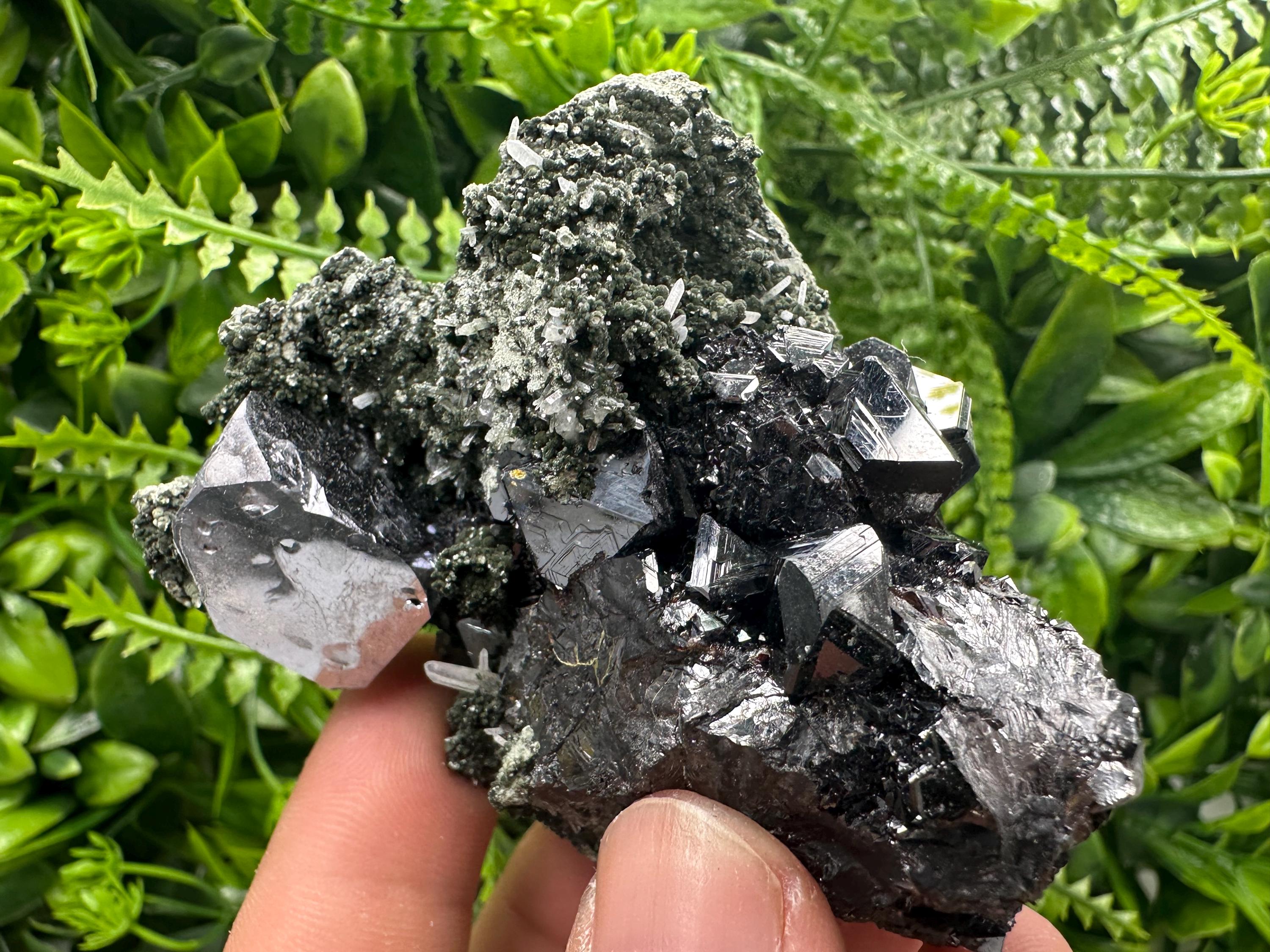 Galena with Black Sphalerite: Natural Minerals Souvenir, Borieva Bulgaria